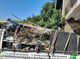 Best Moving and Downsizing Cleanouts  in Franklin, NC